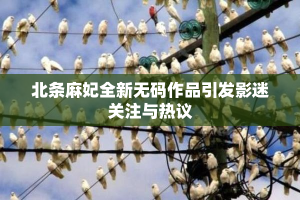 北条麻妃全新无码作品引发影迷关注与热议