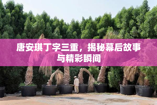 唐安琪丁字三重，揭秘幕后故事与精彩瞬间