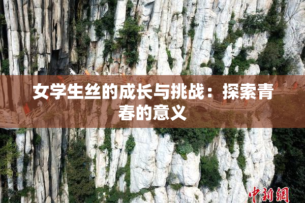 女学生丝的成长与挑战：探索青春的意义