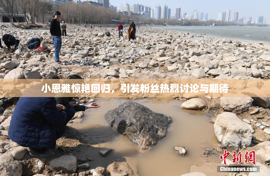 小恩雅惊艳回归，引发粉丝热烈讨论与期待