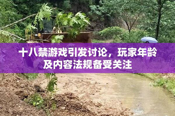 十八禁游戏引发讨论，玩家年龄及内容法规备受关注