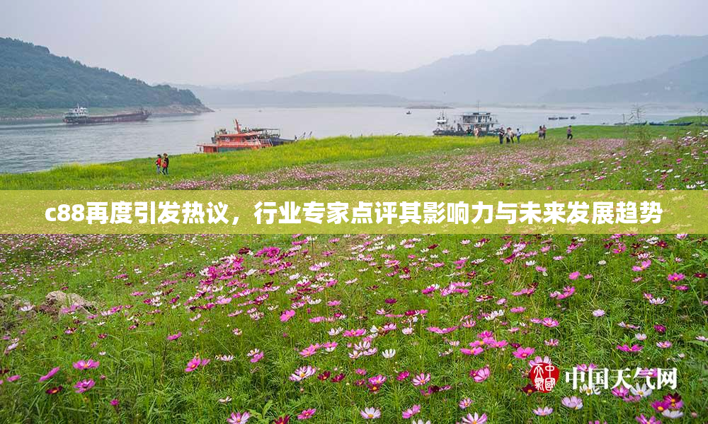 c88再度引发热议，行业专家点评其影响力与未来发展趋势