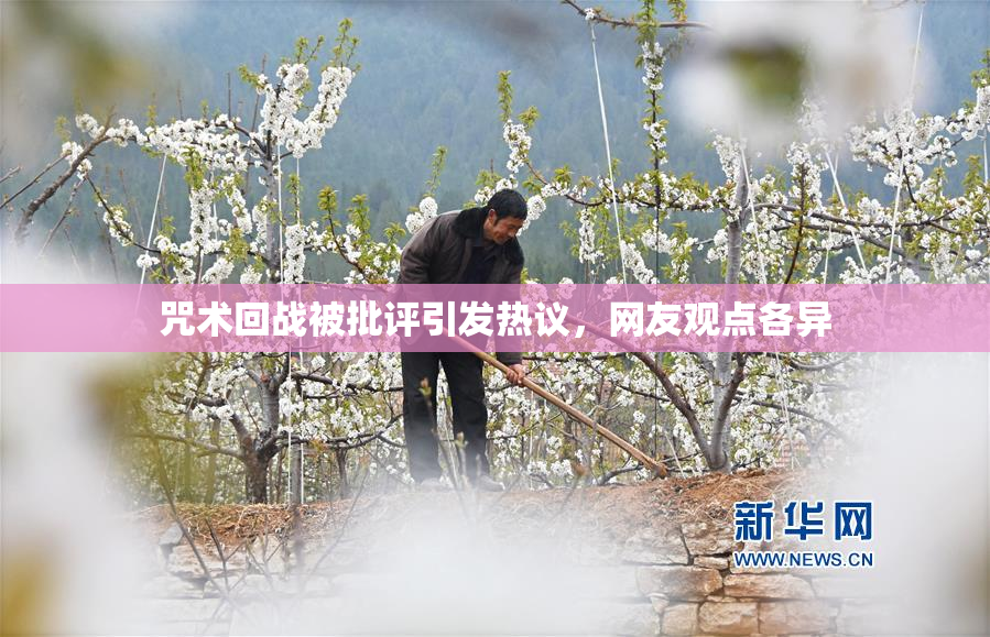 咒术回战被批评引发热议，网友观点各异
