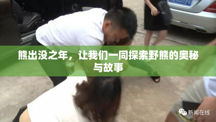 熊出没之年，让我们一同探索野熊的奥秘与故事