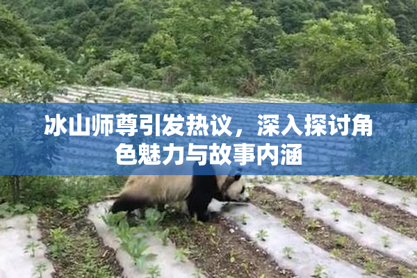 冰山师尊引发热议，深入探讨角色魅力与故事内涵