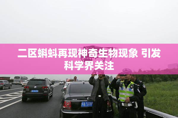 二区蝌蚪再现神奇生物现象 引发科学界关注