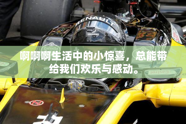 啊啊啊生活中的小惊喜，总能带给我们欢乐与感动。