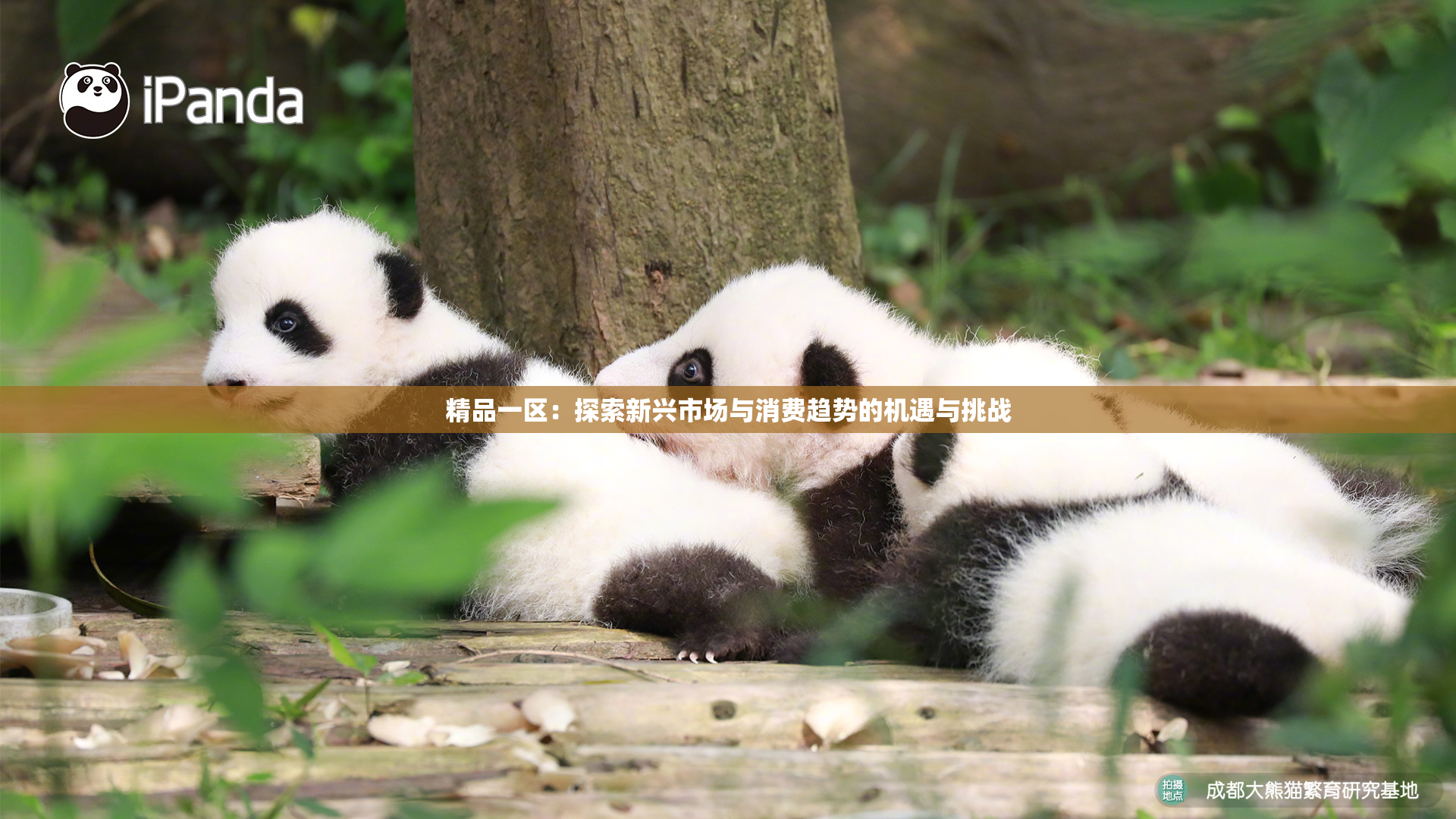 精品一区：探索新兴市场与消费趋势的机遇与挑战