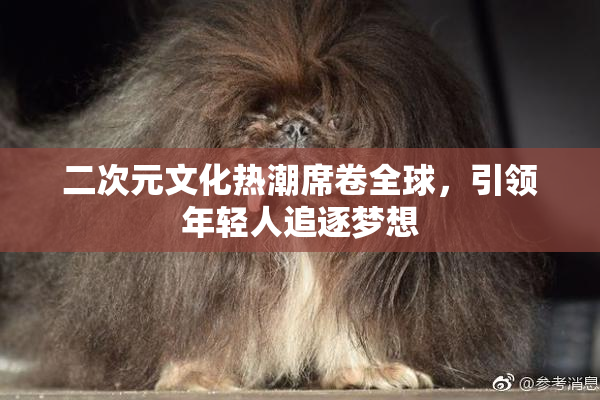 二次元文化热潮席卷全球，引领年轻人追逐梦想