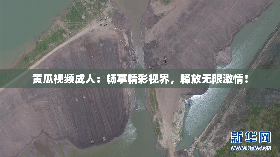 黄瓜视频成人：畅享精彩视界，释放无限激情！