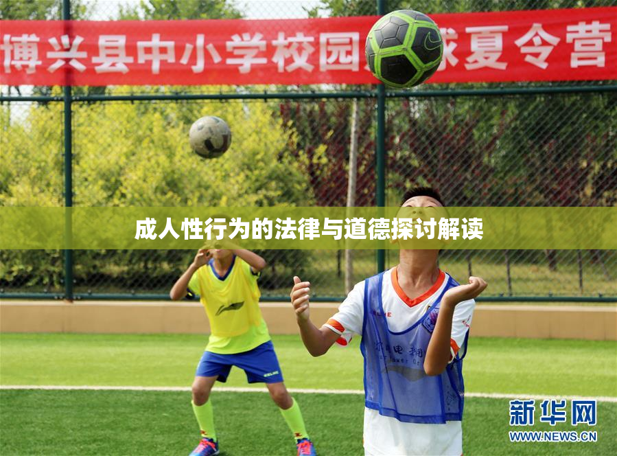 成人性行为的法律与道德探讨解读