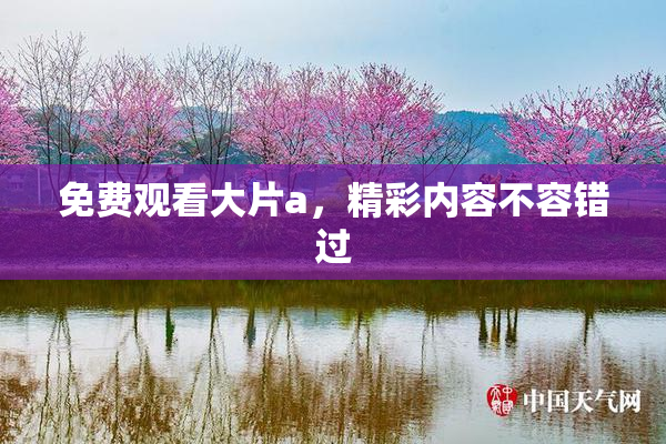 免费观看大片a，精彩内容不容错过