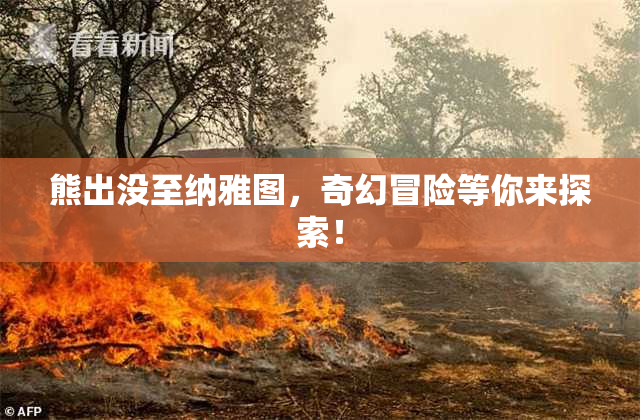 熊出没至纳雅图，奇幻冒险等你来探索！