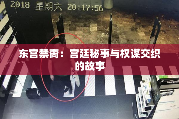 东宫禁脔：宫廷秘事与权谋交织的故事