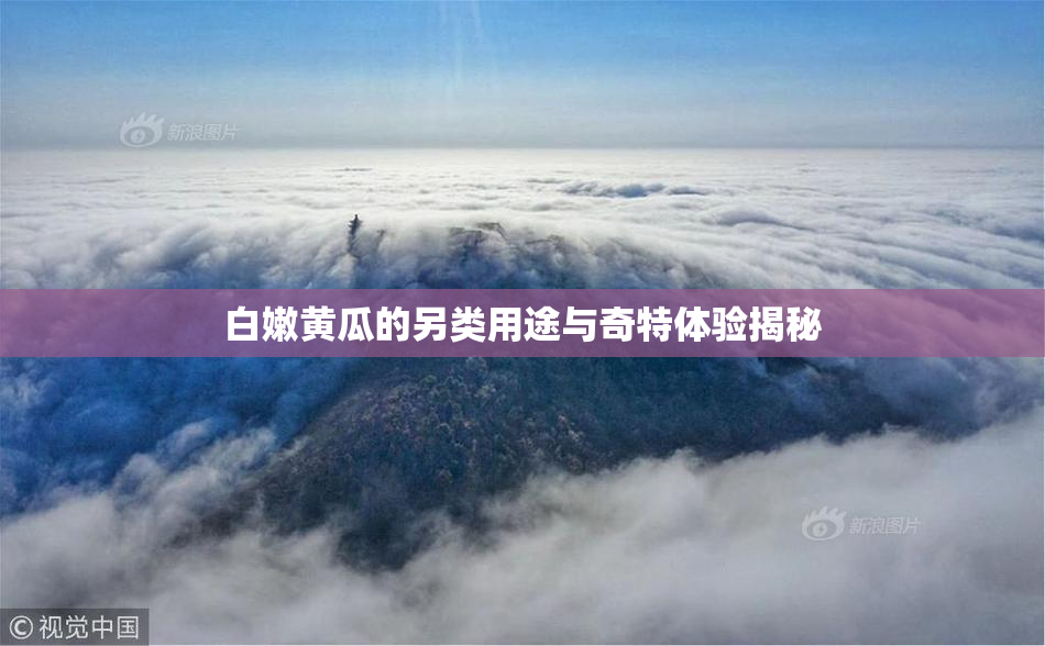 白嫩黄瓜的另类用途与奇特体验揭秘