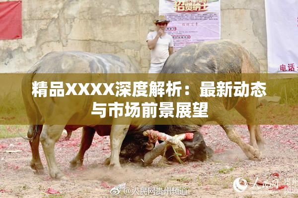 精品XXXX深度解析：最新动态与市场前景展望