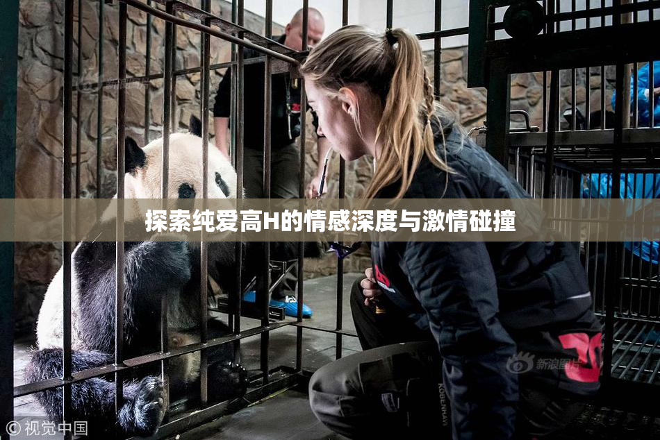 探索纯爱高H的情感深度与激情碰撞