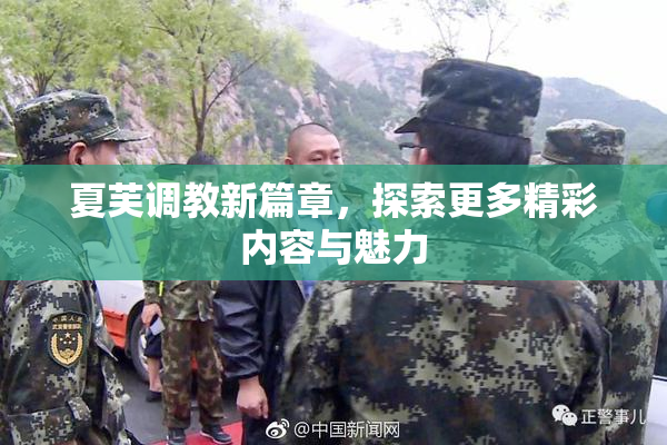 夏芙调教新篇章，探索更多精彩内容与魅力