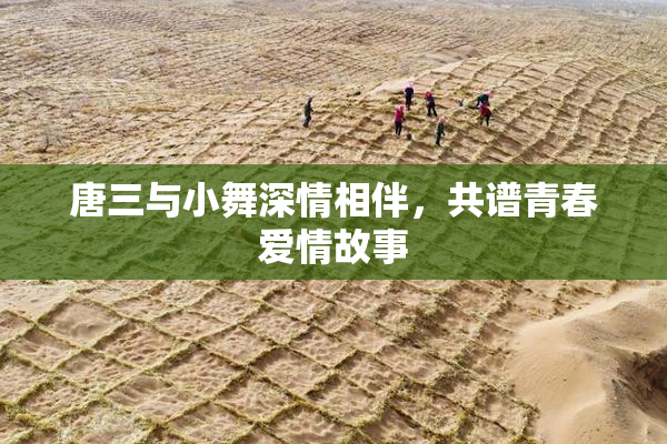 唐三与小舞深情相伴，共谱青春爱情故事