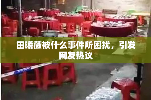田曦薇被什么事件所困扰，引发网友热议