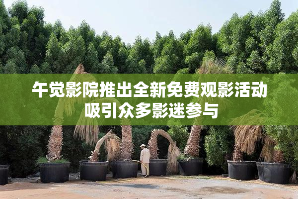 午觉影院推出全新免费观影活动 吸引众多影迷参与