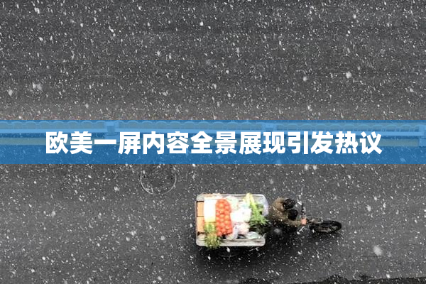 欧美一屏内容全景展现引发热议