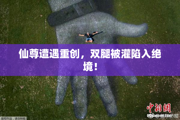 仙尊遭遇重创，双腿被灌陷入绝境！