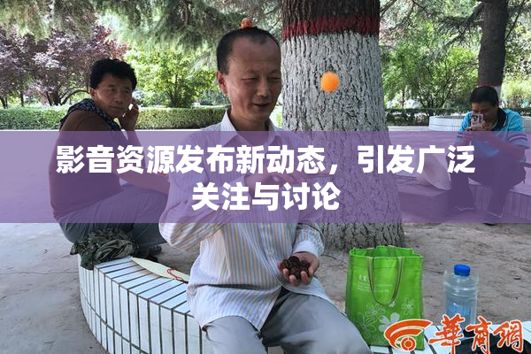 影音资源发布新动态，引发广泛关注与讨论