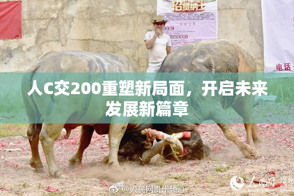 人C交200重塑新局面，开启未来发展新篇章