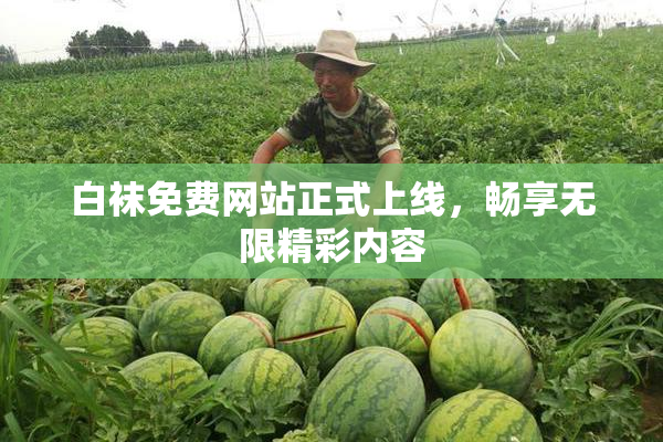 白袜免费网站正式上线，畅享无限精彩内容