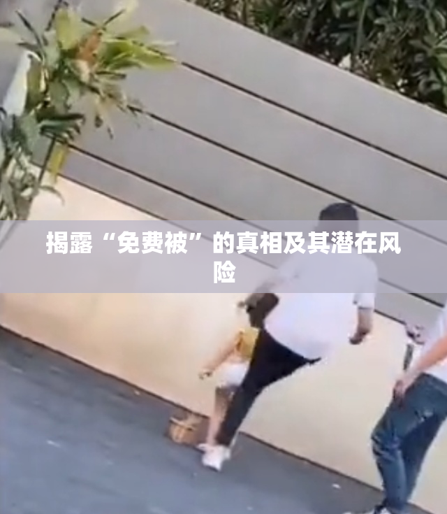 揭露“免费被”的真相及其潜在风险