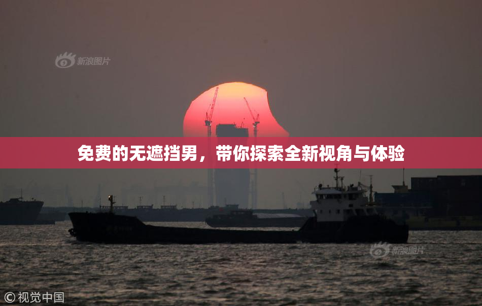 免费的无遮挡男，带你探索全新视角与体验