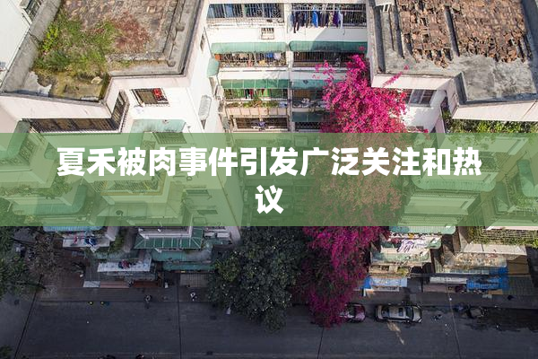 夏禾被肉事件引发广泛关注和热议