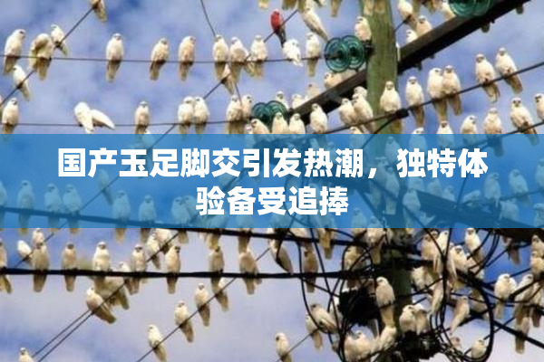 国产玉足脚交引发热潮，独特体验备受追捧