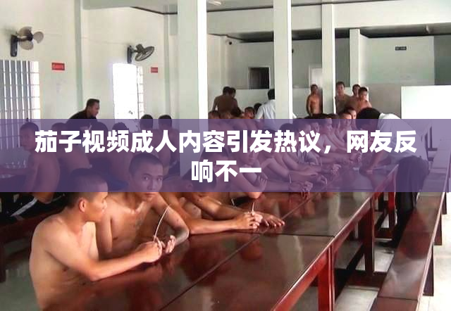 茄子视频成人内容引发热议，网友反响不一