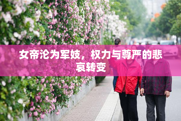 女帝沦为军妓，权力与尊严的悲哀转变