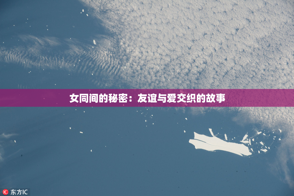 女同间的秘密：友谊与爱交织的故事