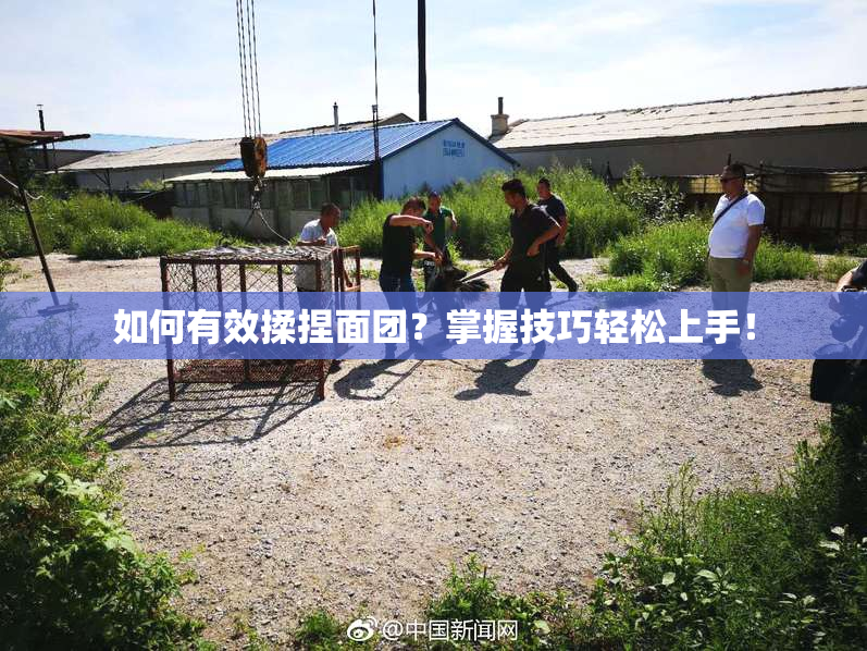 如何有效揉捏面团？掌握技巧轻松上手！