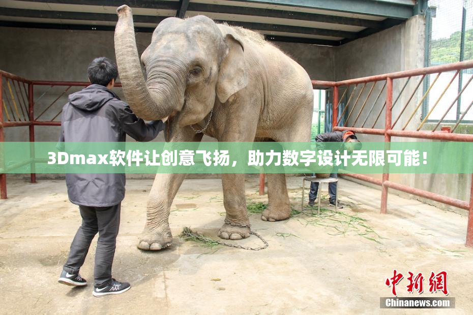 3Dmax软件让创意飞扬，助力数字设计无限可能！