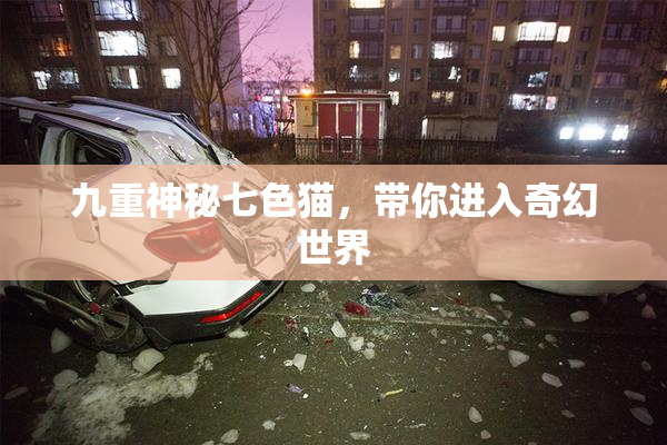 九重神秘七色猫，带你进入奇幻世界