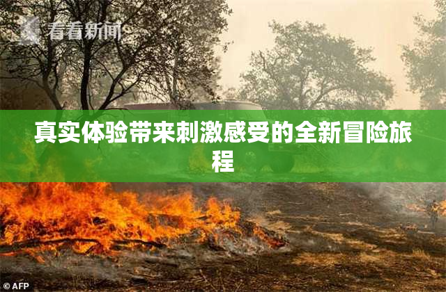 真实体验带来刺激感受的全新冒险旅程
