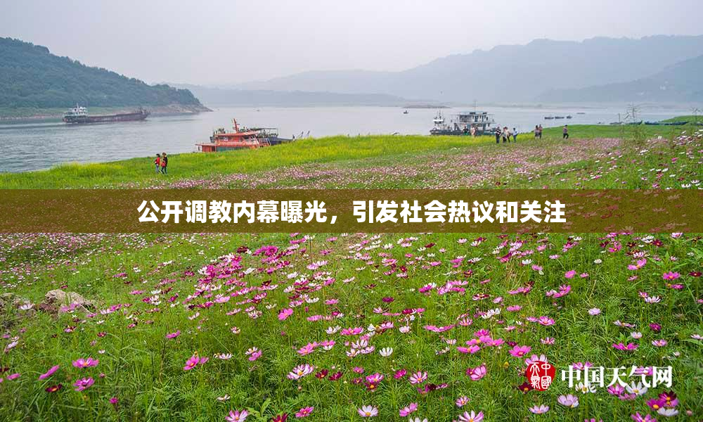 公开调教内幕曝光，引发社会热议和关注