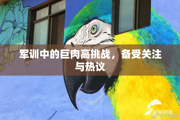 军训中的巨肉高挑战，备受关注与热议