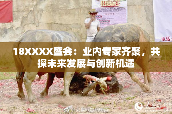 18XXXX盛会：业内专家齐聚，共探未来发展与创新机遇