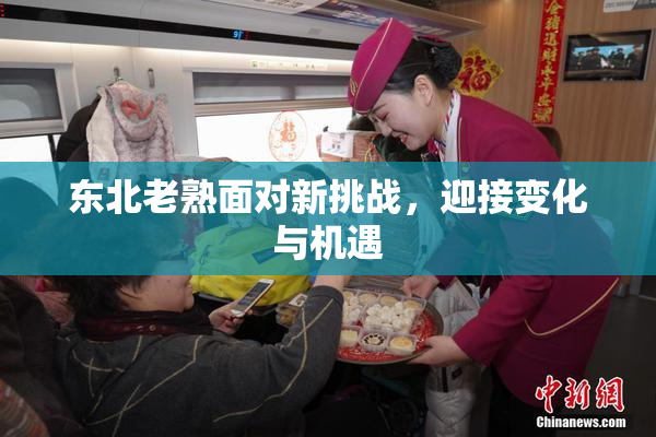 东北老熟面对新挑战，迎接变化与机遇