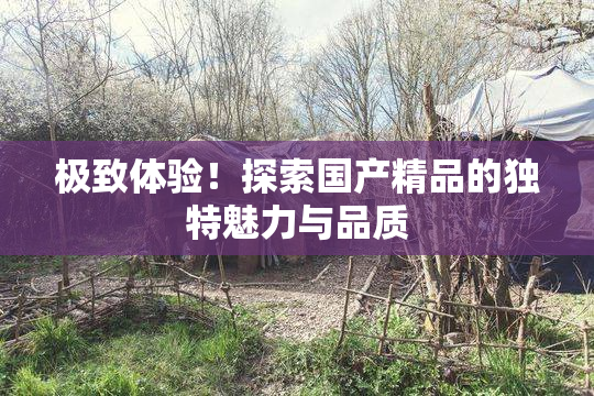 极致体验！探索国产精品的独特魅力与品质