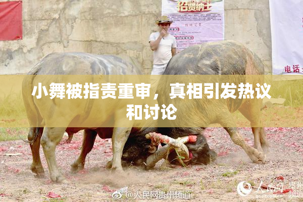 小舞被指责重审，真相引发热议和讨论