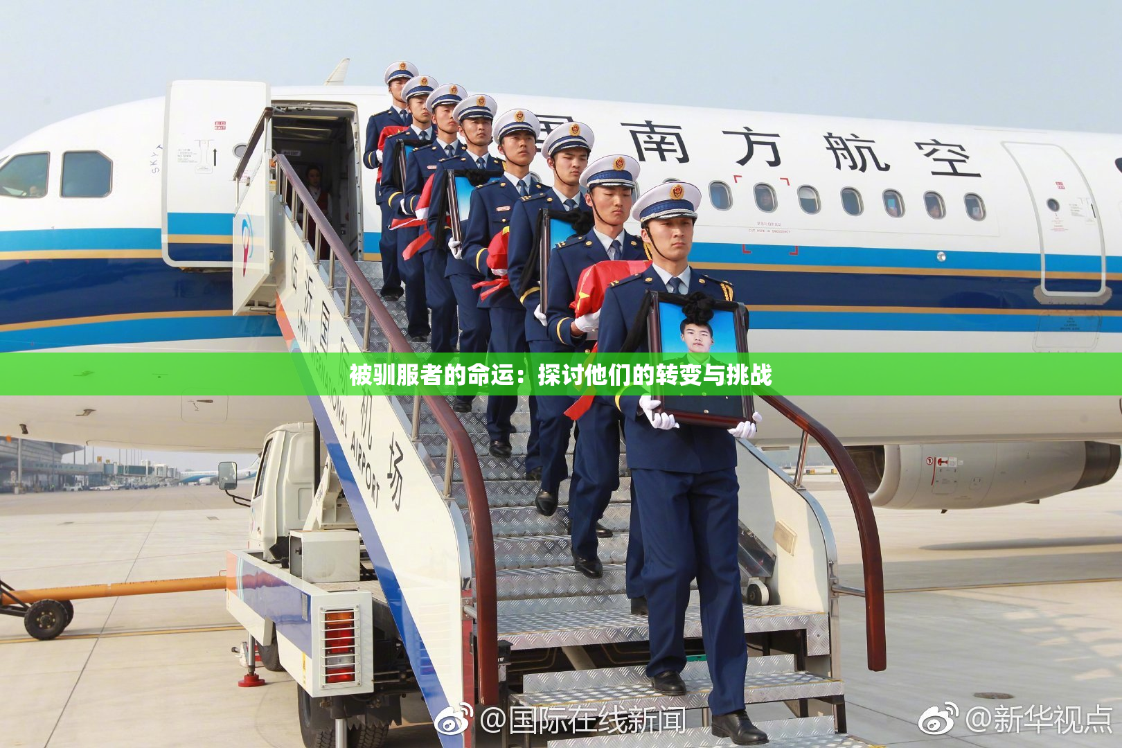 被驯服者的命运：探讨他们的转变与挑战