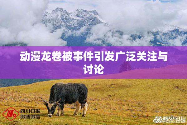 动漫龙卷被事件引发广泛关注与讨论