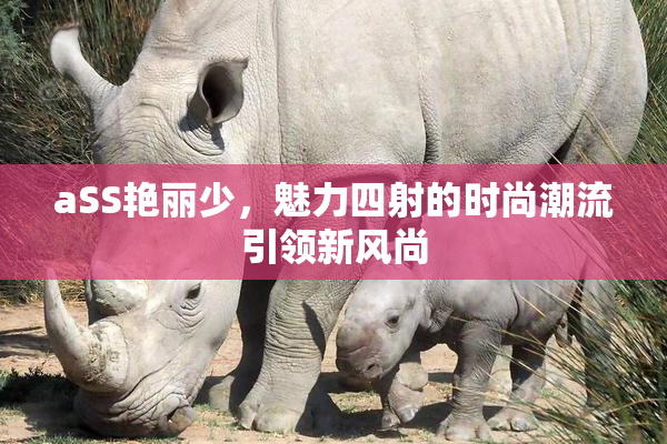 aSS艳丽少，魅力四射的时尚潮流引领新风尚